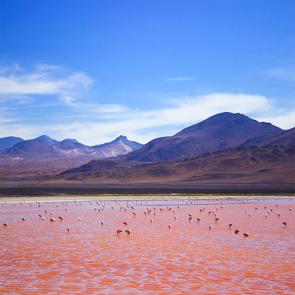 Bolivia